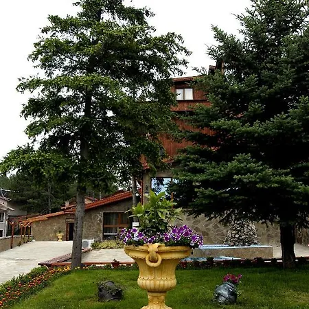 галина палас Hotell *
