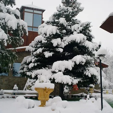 галина палас Hotel Srem