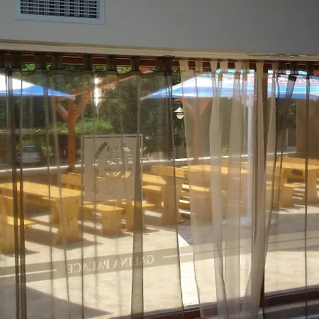 галина палас *