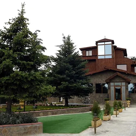 галина палас Srem