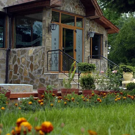 галина палас