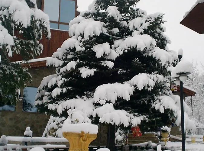 галина палас Hotel Srem