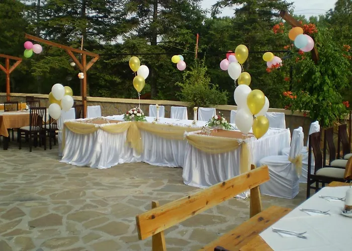 галина палас Srem