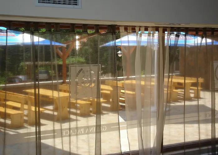 галина палас *