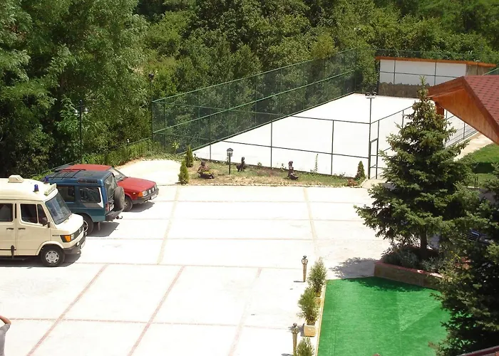 галина палас *