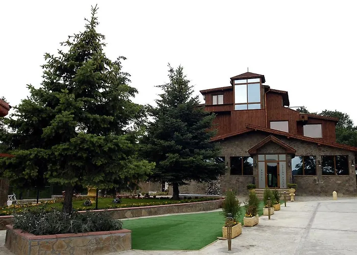 галина палас Srem