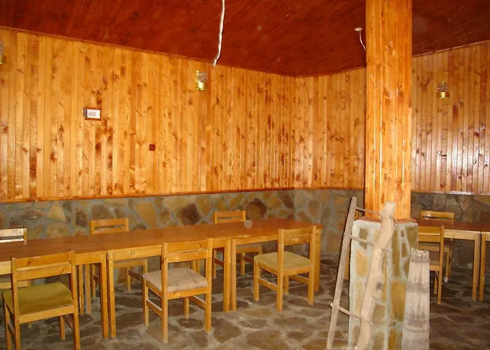 галина палас *