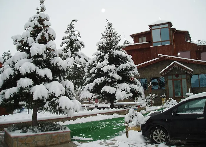 галина палас Hotel