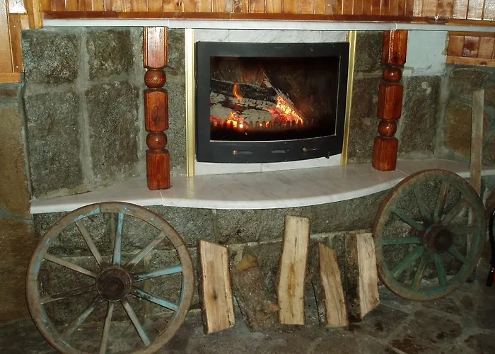 галина палас