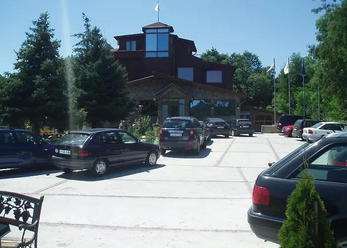 галина палас * Srem