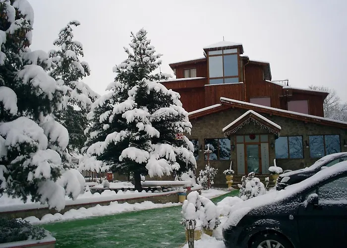 Hotel галина палас