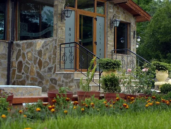 галина палас