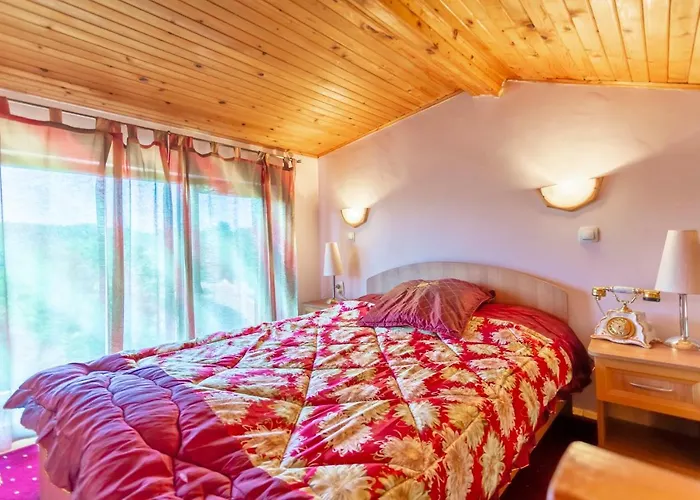 галина палас